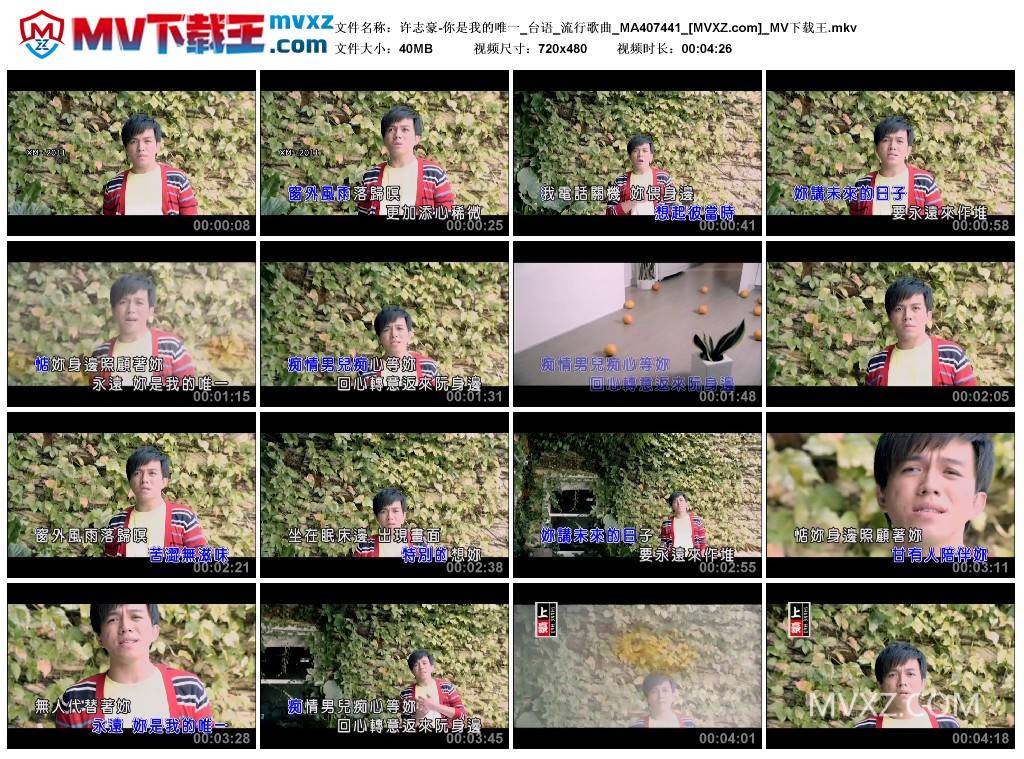 许志豪-你是我的唯一_台语_流行歌曲_MA407441